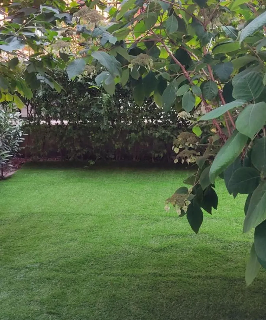 In The Heart Of Budapest Parliament 2 Min 47M2 And Garden Apartamento