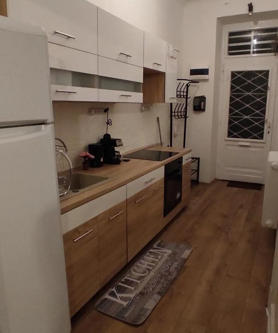In The Heart Of Budapest Parliament 2 Min 47M2 And Garden Apartamento